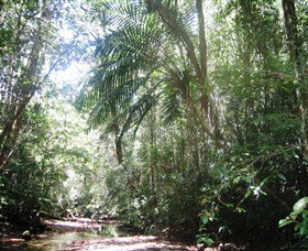 Mount Lewis National Park - Accommodation Nelson Bay 0
