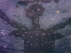 Quinkan Reserves Ancient Rock Art - Accommodation Nelson Bay 0