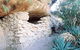 Hermits Caves And Lookout - thumb 0