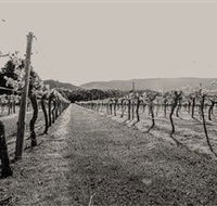 Halls Gap Estate - Accommodation Nelson Bay