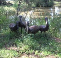 East Tolans Farm Tour - Accommodation Nelson Bay