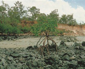 Garig Gunak Barlu National Park - Accommodation Nelson Bay 3