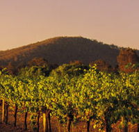 Taltarni Vineyards - Accommodation Nelson Bay