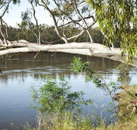 Murray Valley National Park - Accommodation Nelson Bay
