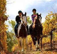 Billabong Ranch - Accommodation Nelson Bay