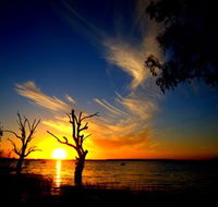 Lake Cowal - Accommodation Nelson Bay
