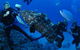 Castle Rock Dive Site - thumb 1