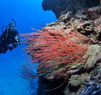 Three Sisters Dive Site - Accommodation Nelson Bay
