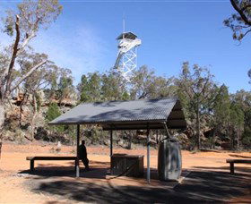 Pilliga Forest Lookout Tower - Accommodation Nelson Bay 0