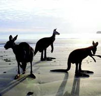 Hibiscus Coast - Accommodation Nelson Bay