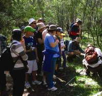 Warrumbungle National Park Discovery Program - Accommodation Nelson Bay