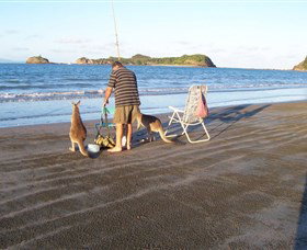 Glenella QLD Accommodation Nelson Bay