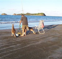 Cape Hillsborough National Park - Accommodation Nelson Bay