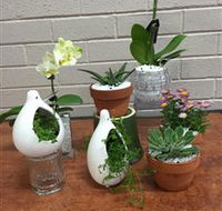 Cobram Florist - Accommodation Nelson Bay