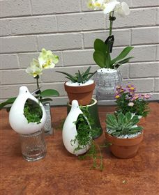 Cobram Florist - Accommodation Nelson Bay 0