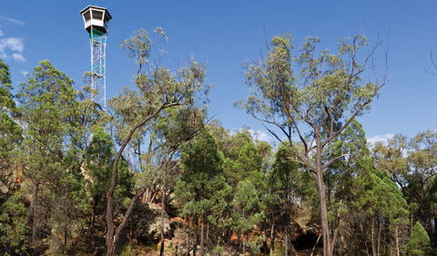 Salt Caves Picnic Area - Accommodation Nelson Bay 2