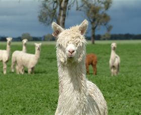 Creswick Woollen Mills - Accommodation Nelson Bay 1