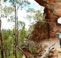 Pilliga National Park - Accommodation Nelson Bay