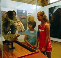 Australian Museum Diprotodon Exhibition - Accommodation Nelson Bay