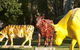 Greater Shepparton's Moooving Art - thumb 0