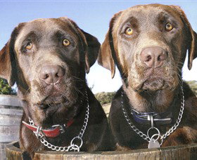 Ellender Estate - Accommodation Nelson Bay 7