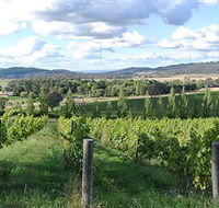 Sassy Wines - Accommodation Nelson Bay
