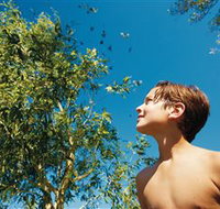 Birdwatching on Keswick Island - Accommodation Nelson Bay