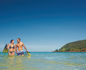 Scuba Diving On Keswick Island - Accommodation Nelson Bay 2