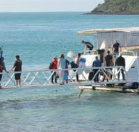 Scuba Diving on Keswick Island - Accommodation Nelson Bay