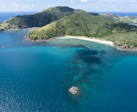 Scuba Diving On Keswick Island - Accommodation Nelson Bay 3