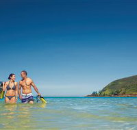 Snorkelling on Keswick Island - Accommodation Nelson Bay