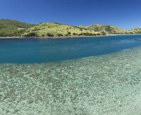 Snorkelling On Keswick Island - Accommodation Nelson Bay 1