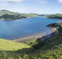 The Cremer Shipwreck Dive Site - Keswick Island - Accommodation Nelson Bay
