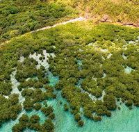 The Singapore Shipwreck Dive Site - Keswick Island - Accommodation Nelson Bay