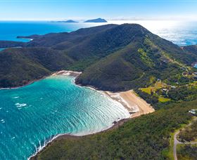 Whale Watching On Keswick Island - Accommodation Nelson Bay 1