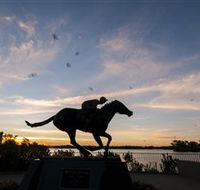 Black Caviar Statue - Accommodation Nelson Bay