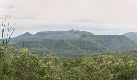 Deriah Aboriginal Information Bay - Accommodation Nelson Bay 3