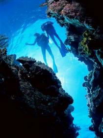 Caves And Canyons Dive Site - Accommodation Nelson Bay 0