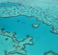 Heart Reef - Accommodation Nelson Bay