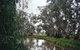 Henty Government Dam Nature Reserve - thumb 0