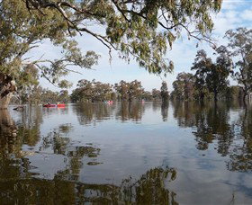 Henty Government Dam Nature Reserve - Accommodation Nelson Bay 1