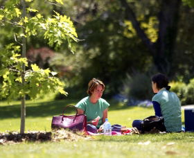 Botanic Gardens Wagga Wagga - Accommodation Nelson Bay 0