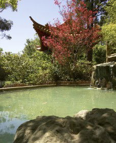 Botanic Gardens Wagga Wagga - Accommodation Nelson Bay 2