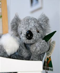 Timboon Toybox - Accommodation Nelson Bay 0