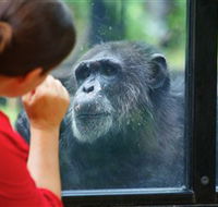 The Rockhampton Zoo - Accommodation Nelson Bay