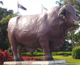 Rockhampton Bull Statues - Accommodation Nelson Bay 0
