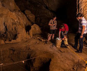 Capricorn Caves - Accommodation Nelson Bay 2