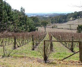 Habitat Vineyard - Accommodation Nelson Bay 0