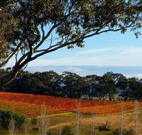Bloodwood Estate - Accommodation Nelson Bay