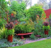 Out of Town Nursery and Humming Garden - Accommodation Nelson Bay
